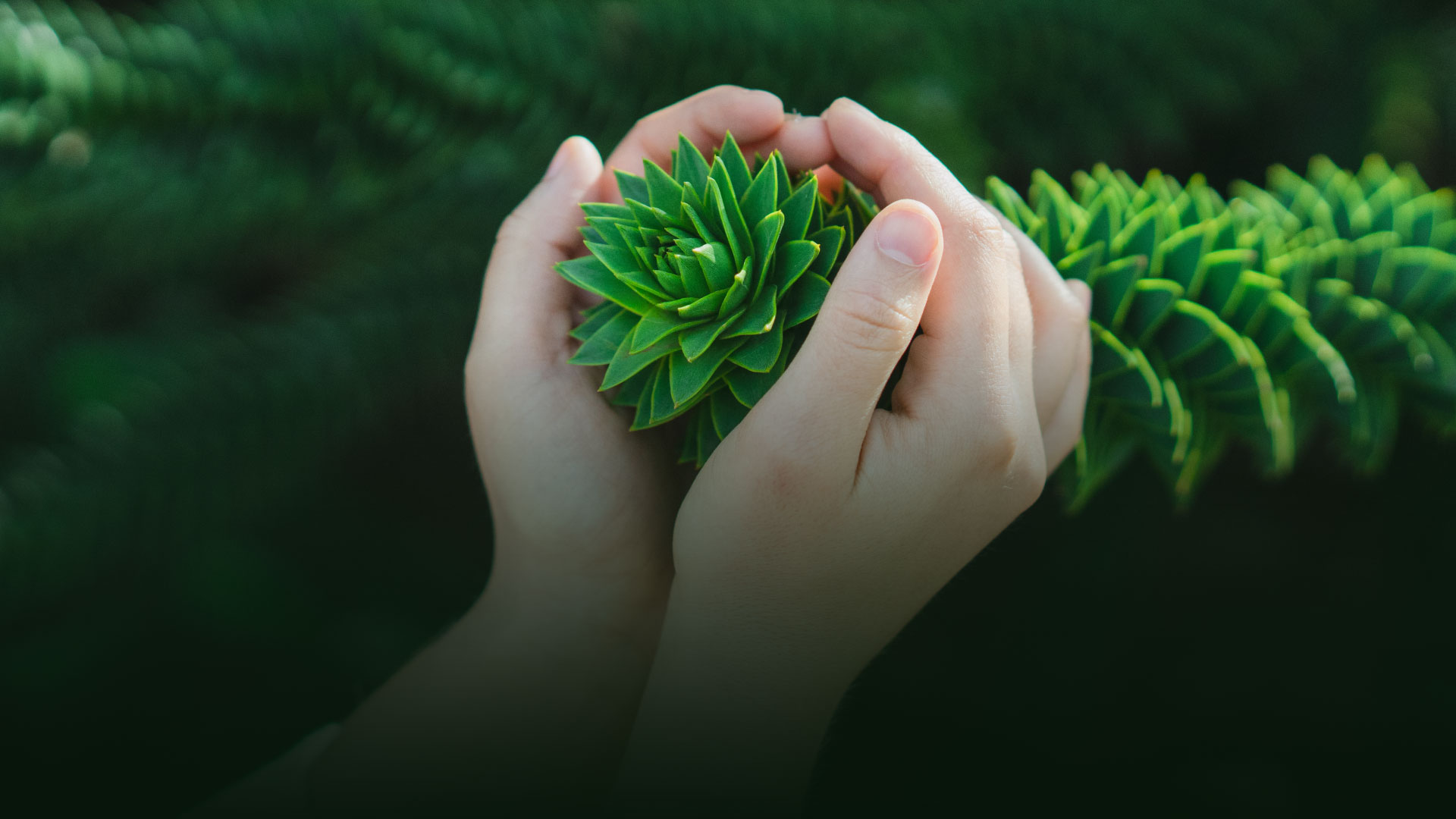 Akselerasi Pertumbuhan Jiwa