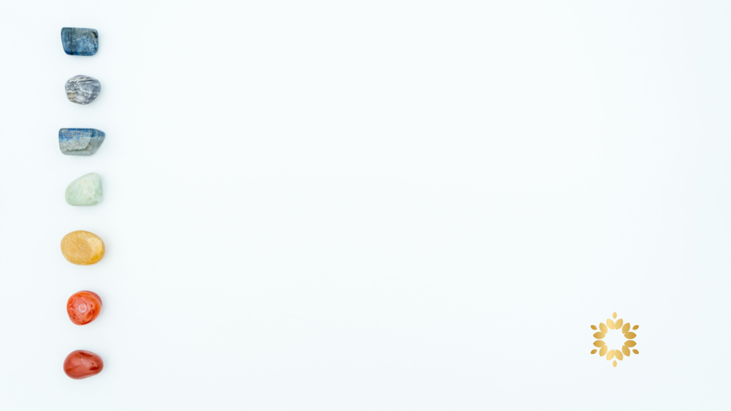 Cakra 1.2 Persaudaraan Matahari Sekolah Kehidupan