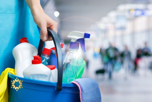 Menyelaraskan Pikiran, Emosi, dan Tubuh Persaudaraan Matahari Sekolah Kehidupan