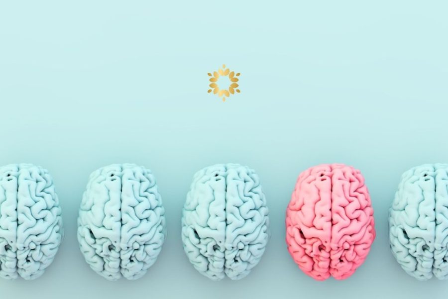 Healthy Mind Happy Brain - Persaudaraan Matahari Sekolah Kehidupan