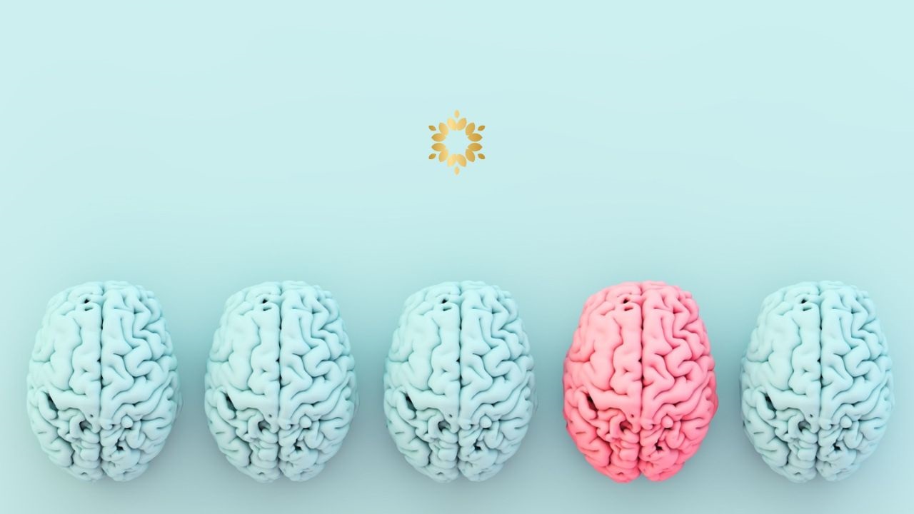Healthy Mind Happy Brain - Persaudaraan Matahari Sekolah Kehidupan