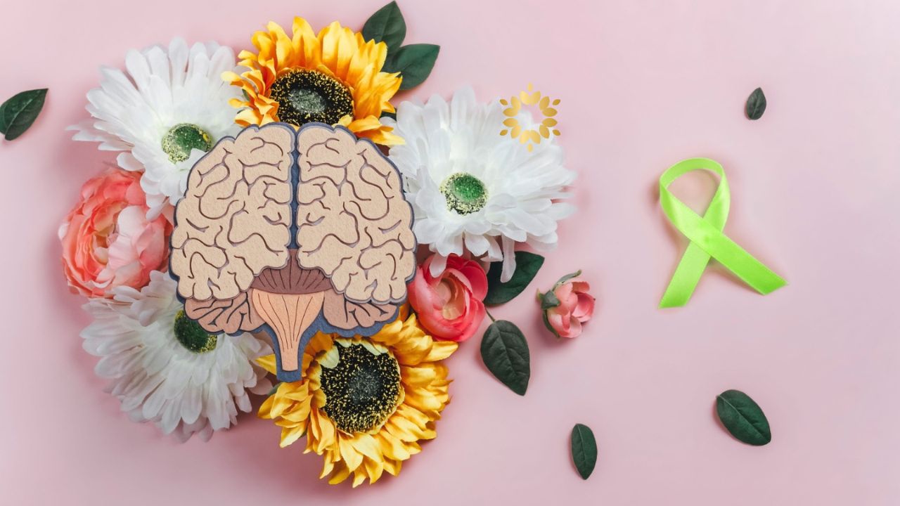 Kekayaan Mental dan Kesadaran - Persaudaraan Matahari Sekolah Kehidupan