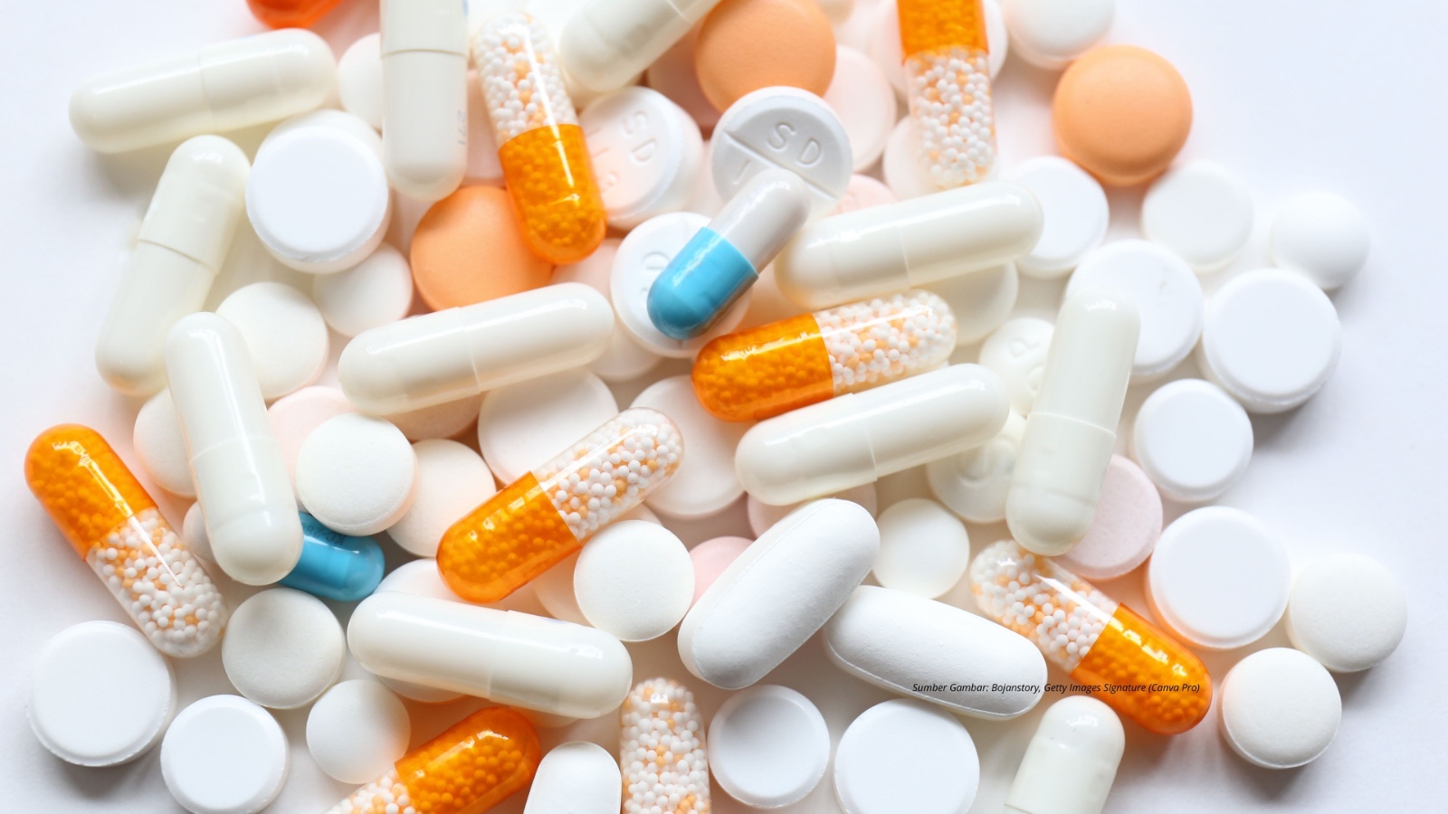 Meditasi Bukan Paracetamol - Persaudaraan Matahari Sekolah Kehidupan