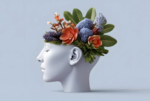 Manfaat Meditasi - Persaudaraan Matahari Sekolah Kehidupan