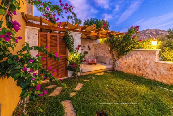 Nyasar ke Halaman Tetangga